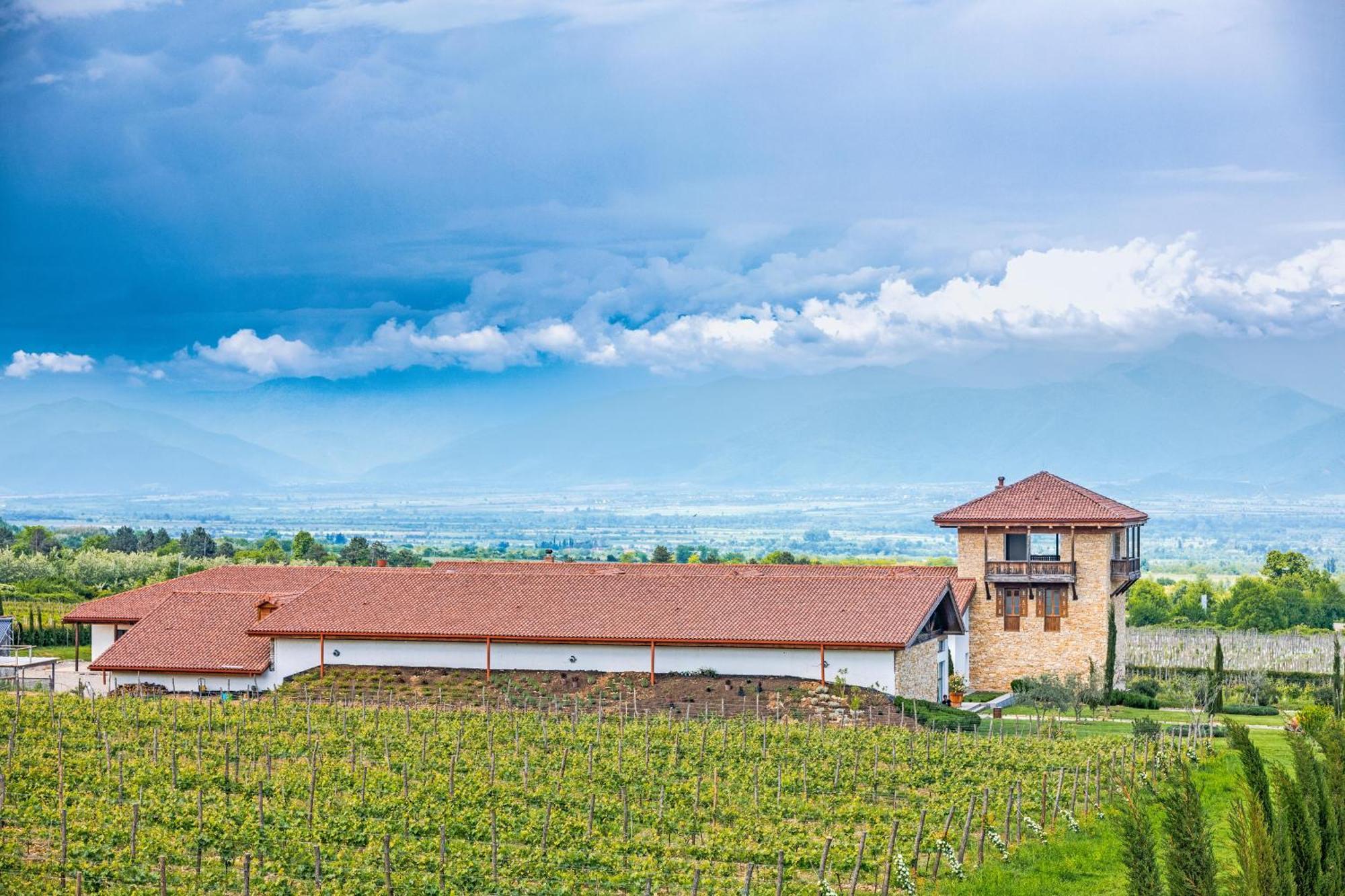Château Mosmieri Hotel&Winery Tel Avi Exterior foto